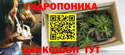 амф Лесосибирск